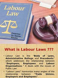 Image result for Labour Law Books