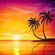 Image result for Palm Trees Sunset iPhone Wallpaper
