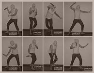 Image result for Knife Poses