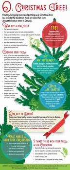 Image result for Christmas Tree Facts