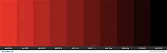 Image result for Apple Red Color Palette