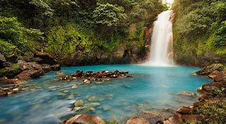 Image result for Guanacaste Costa Rica Tourist Attractions