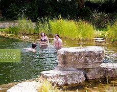 Image result for Natural Swimming People