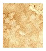 Image result for Stain Texture