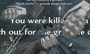 Image result for Team Kill Grenade Cod Meme