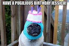 Image result for Pug Birthday Meme