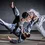 Image result for brazil jiu jitsu martial art
