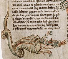 Image result for Medieval Bestiary Dragon