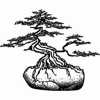 Image result for Bonsai Tree Ratios