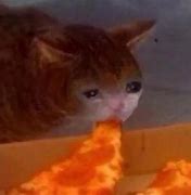 Image result for Crying Cat Meme Transparent