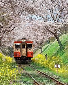 鉄道 で 楽しむ アジア の 旅 - Rose McLean