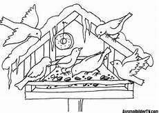 kostenlose ausmalbilder tiere im winter ausmalbilder winter coloriage oiseaux colorier kostenlose ausmalbilder tiere im winter ausmalbilder winter coloriage oiseaux colorier