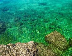 Image result for Blue Green Water Beach