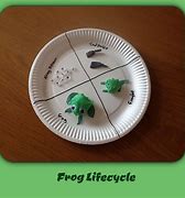 Image result for Frog Life Cycle Paper Plate