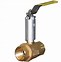 Image result for 2 Isolation Valve