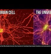 Image result for Big Brain Universe