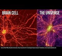 Image result for The Universe vs the Brain