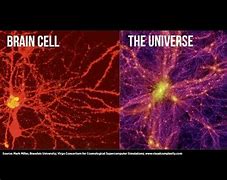 Image result for God Is the Brain of the Universe