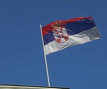 Image result for Serbian City Flag