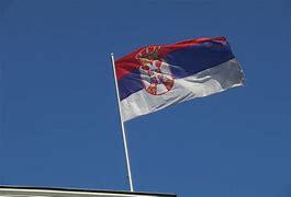 Image result for Serbian Shield
