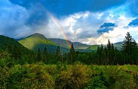 Image result for Rainbow HD