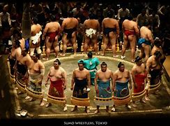 Image result for Sumo Wrestling Championship