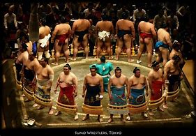 Image result for Sumo Wrestling Background