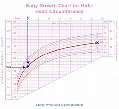 Image result for Baby Girl Growth Chart Percentile