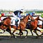 Image result for Namita Arun Meydan Dubai Horse Racing