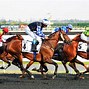 Image result for Dubai World Cup Horse Race
