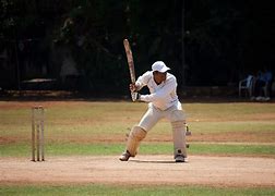 Image result for Cricket Comedy
