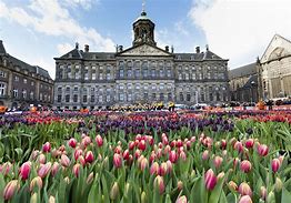 Image result for Royal Palace Amsterdam