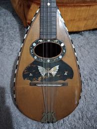 Image result for Bowl Backed Mandolin with Butterfly Inlay