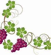 Image result for Wine Grape Vine Clip Art