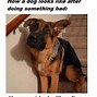 Image result for Rainy Day Funny Jokes
