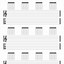 Image result for Music Sheet Print Out