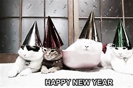 Image result for Happy New Year Yelling Cat Meme