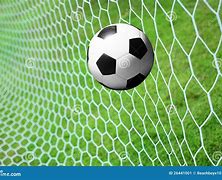 Image result for Soccer Ball Goal Net