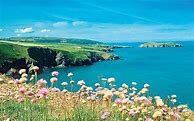 Image result for Cardigan Wales