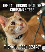 Image result for Beautiful Christmas Memes