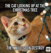 Image result for Funny Happy Christmas to Everyone