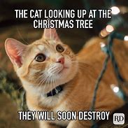 Image result for Jokes About Cats and Christmas