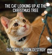Image result for Cute Cat Memes for Christmas