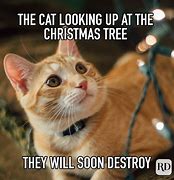 Image result for When You Have No Chrtimas Decoration Meme