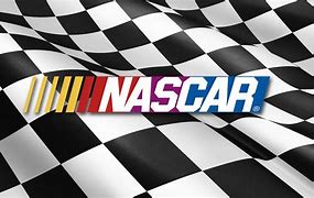 Image result for NASCAR Official Colors