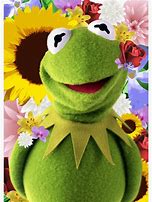 Image result for Kermit Flowers