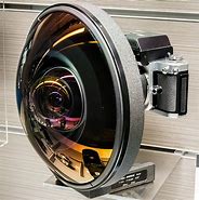 Image result for Animal Fish Eye Lens