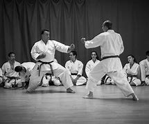 Image result for Japanese Karate