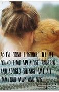 Image result for FUNNIEST Animal Quotes