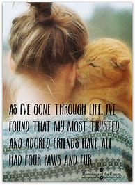 Image result for Crazy Cat Lady Quotes